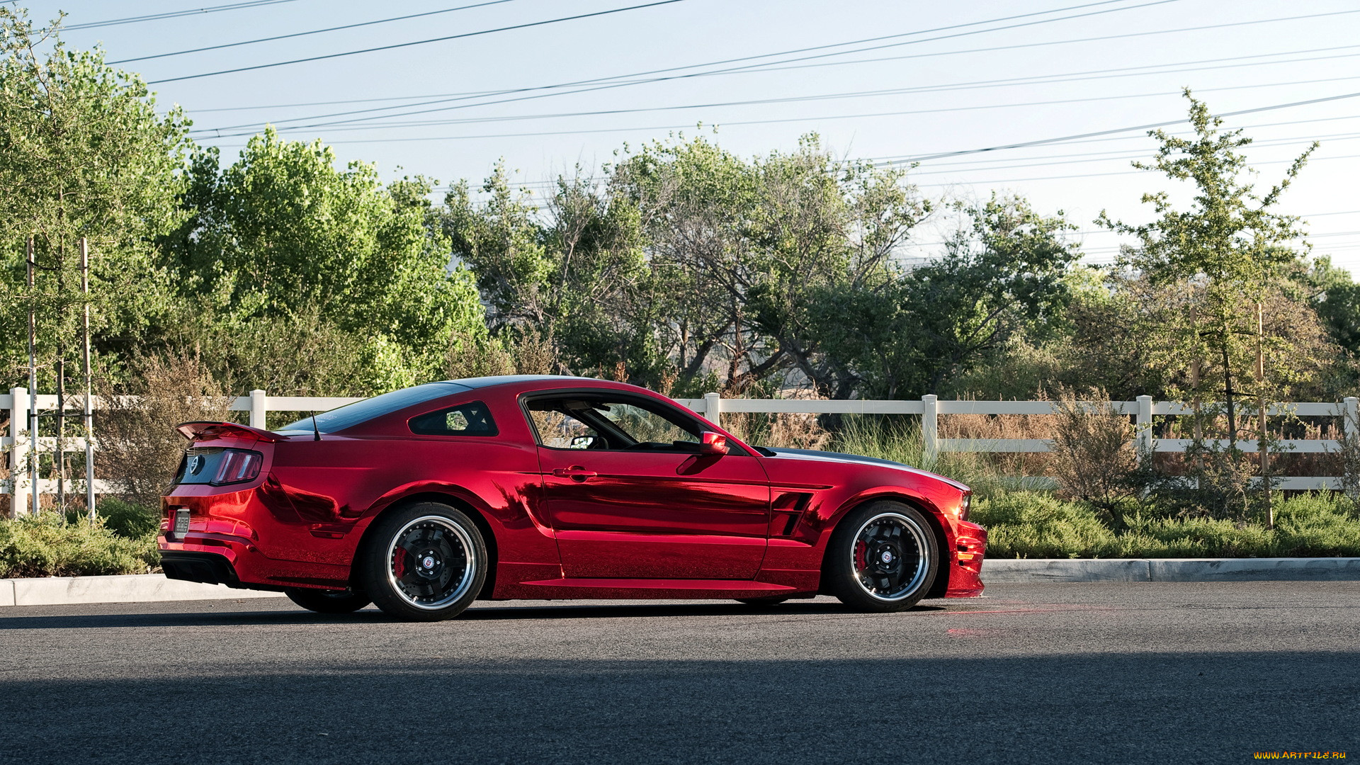 mustang, , , , , 